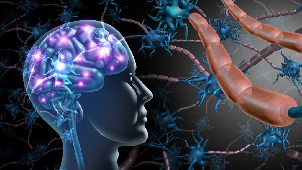Yonkers Traumatic Brain Injury Lawyer